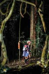 BIB: 
                            <button type="button" onclick="openModal(25239748)" class="btn btn-primary btn-sm float-right btn-popup" data-toggle="modal" data-target=".modal-high-quality">
                        <i class="fas fa-shopping-cart"></i> Add to Cart
                    </button>
                                            <button type="button" onclick="isThisMe(25239748, true)" class="btn btn-success btn-sm float-right btn-popup btn-isme hidden" data-toggle="tooltip" data-placement="bottom" title="นี่คือรูปของคุณใช่ไหม คลิกที่นี่เพื่อเอาเข้าอัลบั้ม">
                        <i class="fas fa-plus"></i> Add to album
                    </button>
                    <button type="button" onclick="isThisMe(25239748, false)" class="btn btn-warning btn-sm float-right btn-popup btn-isnotme hidden">
                        <i class="fas fa-ban"></i> Remove from album
                    </button>